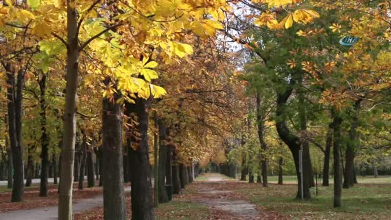 Avusturya'da Sonbahar- Avusturya'dan Doyumsuz Sonbahar Manzaraları