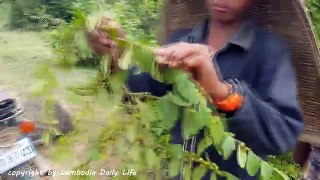 OMG! Two Brothers Catch Extremely Big Snake While Finding Fish in Canal