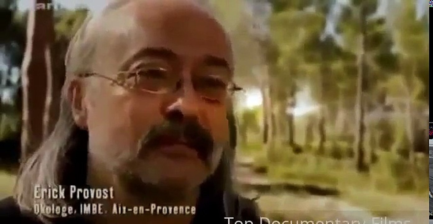 Ants Documentary Channel Attack Of The Killer Ants