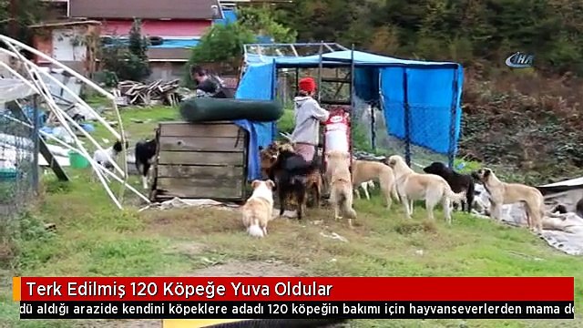 Terk Edilmiş 120 Köpeğe Yuva Oldular