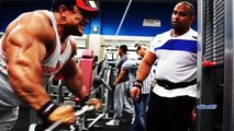 Roelly Winklaar - The BIGGEST and BEST Triceps Ever Seen In Bodybuilding History