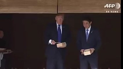 Donald Trump n'a fait que suivre le Premier ministre japonais pour nourrir les carpes