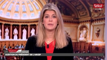 audition du président de l'Arcep  - Les matins du Sénat (06/11/2017)