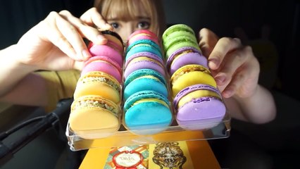 띠미의 엽기적인 병맛 ASMR 마카롱 이팅사운드 [ macaroon eating sound ]