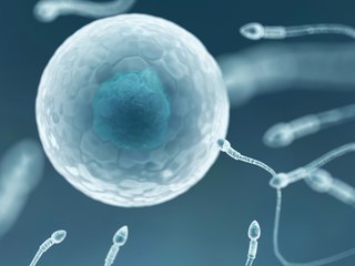 Appel aux dons en France face à la pénurie de sperme et d'ovocyte