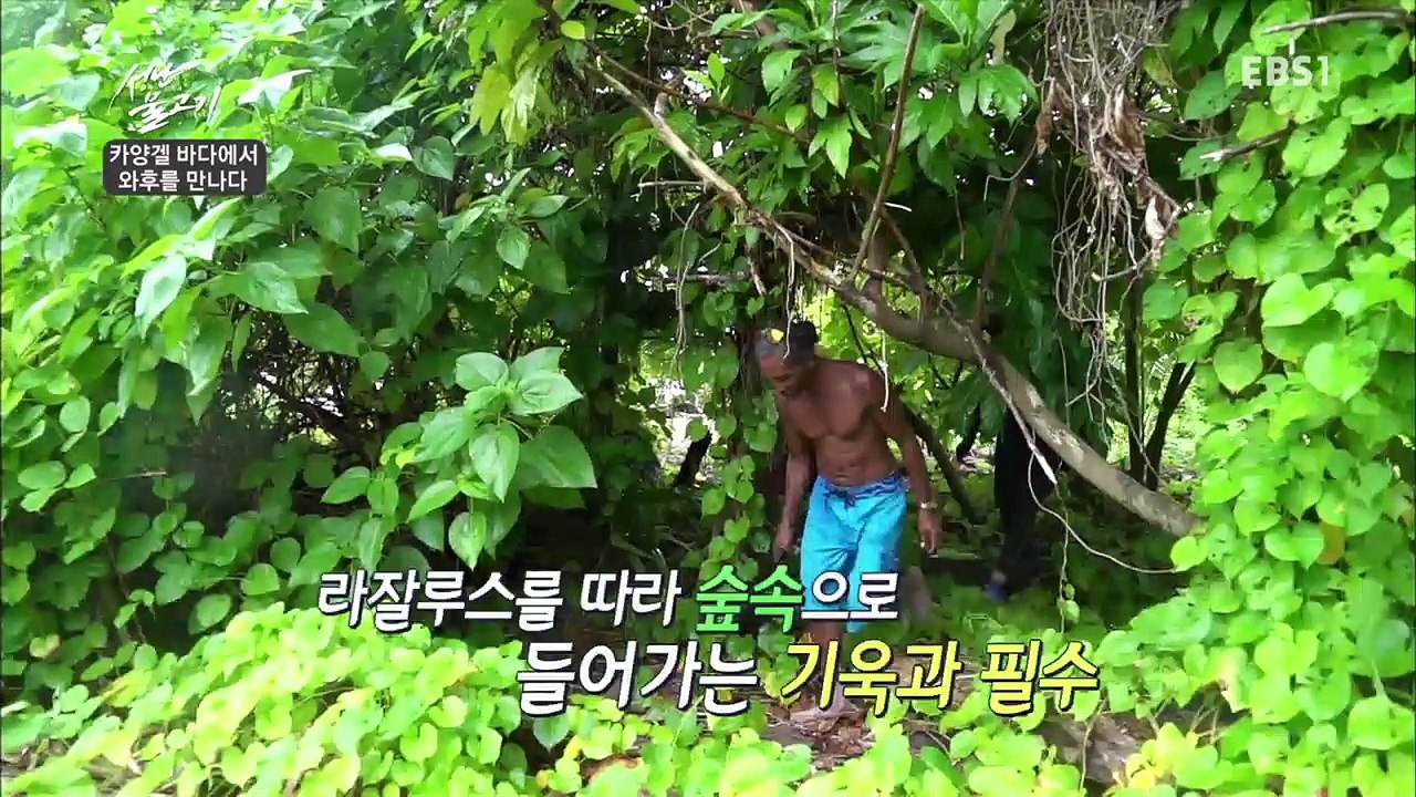 성난 물고기 - 카양겔 바다에서 와후를 만나다_#002