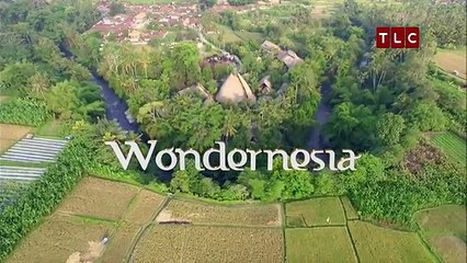EP7 Dianas Vlog: Wayang Kulit | WONDERNESIA