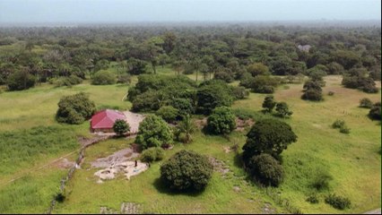 Senegal rebels: Astron’s mining plans ‘an act of war’