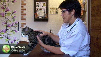 le magnetisme, un phenomene inexpliqué