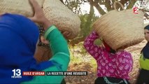 Maroc : la réussite de l'huile d'argan