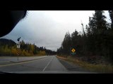 Dash Cam Captures the Moment Driver Hits Deer