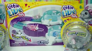 Little Live Pets Lil Mouse House Trail two Mice Chatter Smooch Unboxing Review Play - Kids Toys