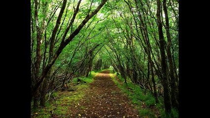 RESIDENT EVIL : LEON S KENNEDY EVOLUTION