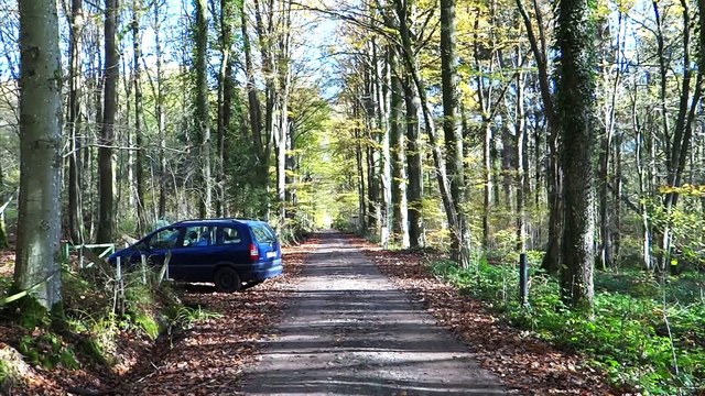Tueries du Brabant: des fouilles ont repris dans la caravane du Géant, à Cerfontaine