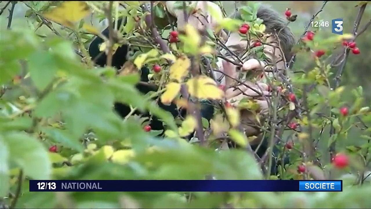 Gastronomie : le Gault & Millau distingue le chef Jean Sulpice