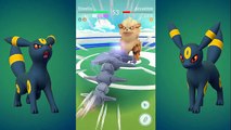 Pokémon GO Gym Battles!Steelix,Ampharos,Slowking,Meganium,Tyranitar