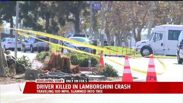 Driver Killed After Speeding Lamborghini Crashes into Palm Tree, Bursts into Flames
