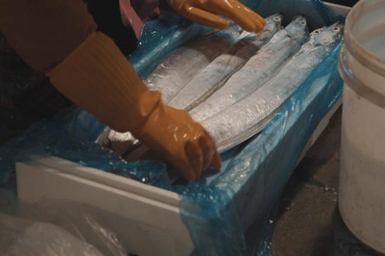 Why Is This Market A Must-Visit in Seoul? Read More!