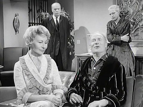 Die seltsamen Methoden des Franz Josef Wanninger E21 - Der Einbrecher