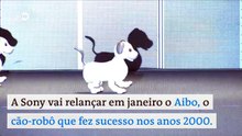 Cachorro-robô é capaz de identificar o que faz seu dono feliz