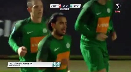 2-2 Danilo Arrieta Goal Denmark  1. Division - 06.11.2017 FC Fredericia 2-2 Viborg FF