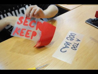 ESTAMPACIÓN VINILO TEXTIL _ IMPRESIONES VIRANA