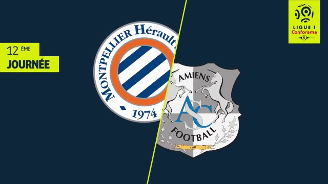 Montpellier Hérault SC - Amiens SC (1-1) (MHSC )