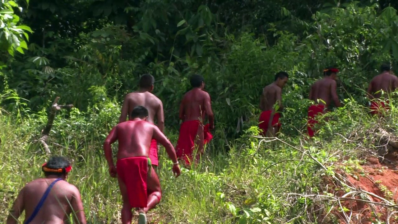 Para una tribu amazónica, la selva es un mundo...