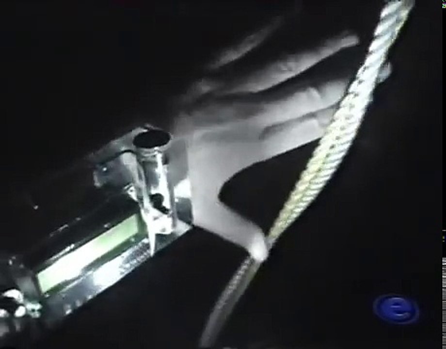 The Last Dive of David Shaw