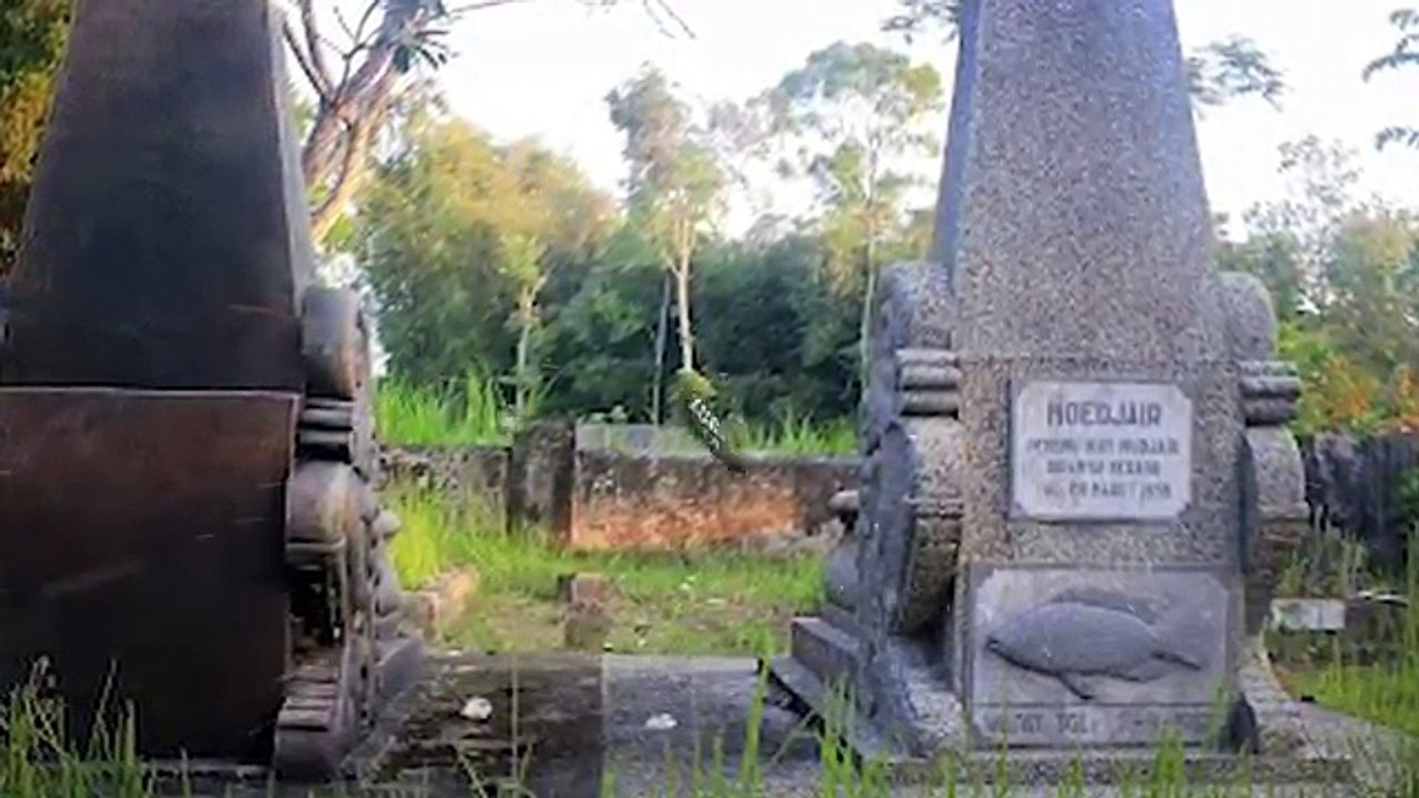 10 Penemuan Hebat dari Ilmuwan Indonesia yang Diakui Dunia #YtCrash