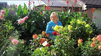 ПЕРЕЦ . ПОЧЕМУ НЕ ЦВЕТЕТ ИЛИ ОСЫПАЕТСЯ ЗАВЯЗЬ