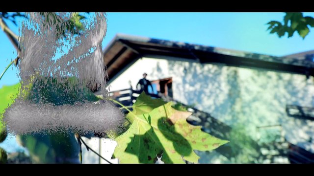 IONUT PRINTU - JOS PALARIA 2017