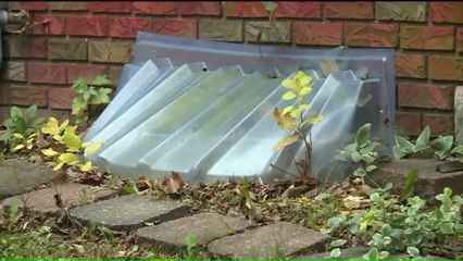 Couple Charged in 6-Year-Old's Death Accused of Starving Him as Punishment