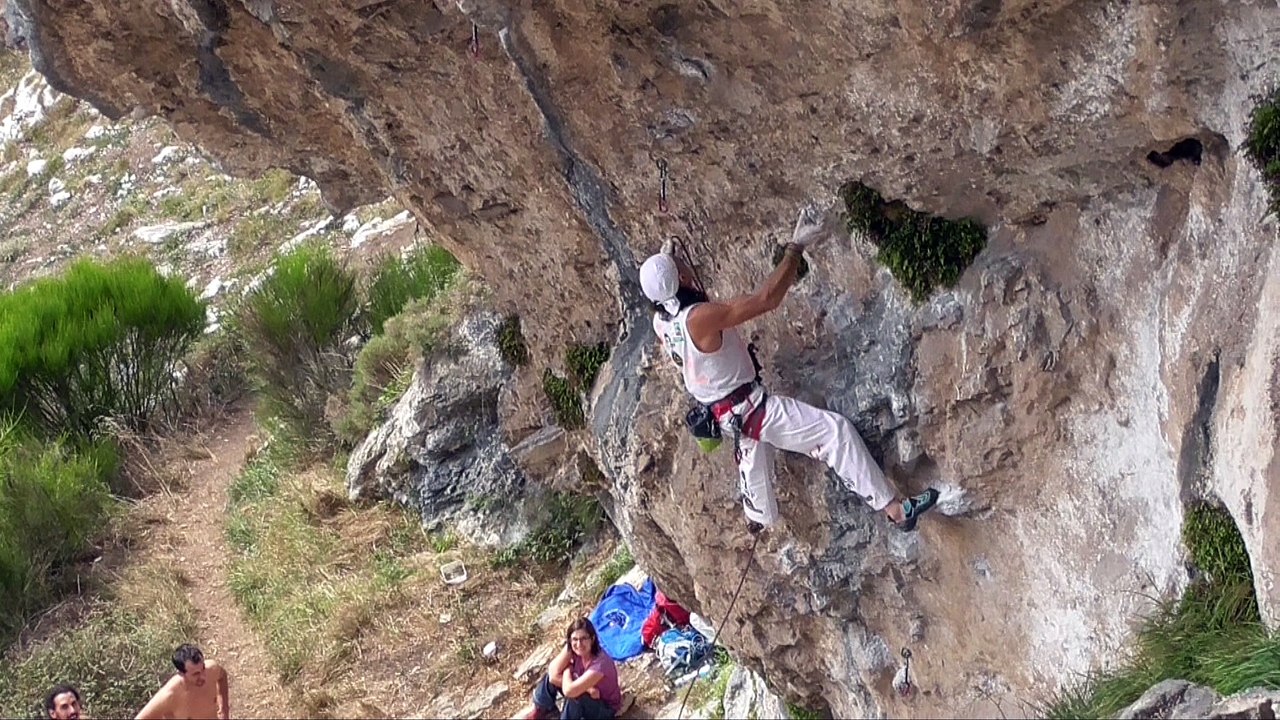 ALE CLIMBER FOREVER