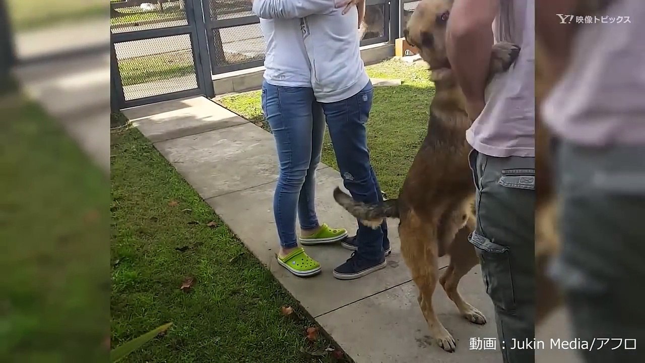 少年号泣…行方不明だった飼い犬と再会