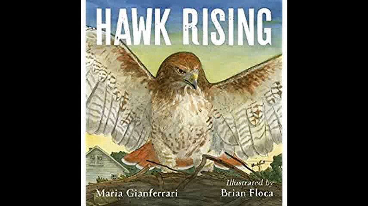 Hawk Rising