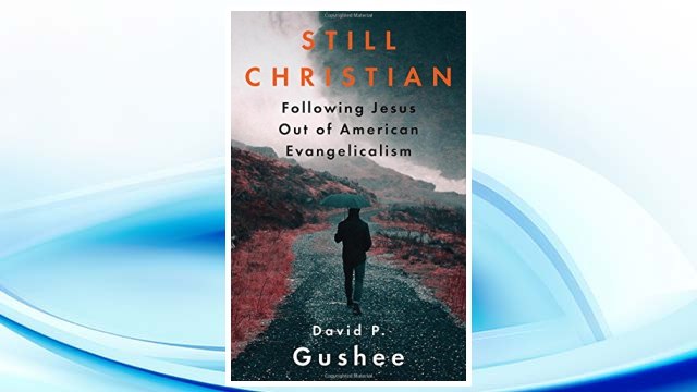 Download PDF Still Christian: Following Jesus Out of American Evangelicalism FREE