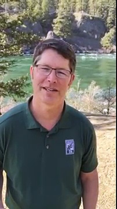Talk to an Arborist on Demand!