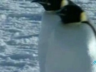 The Nine Planets - Neptune