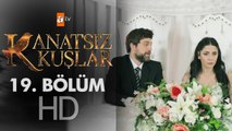 Kanatsız Kuşlar 19. Bölüm