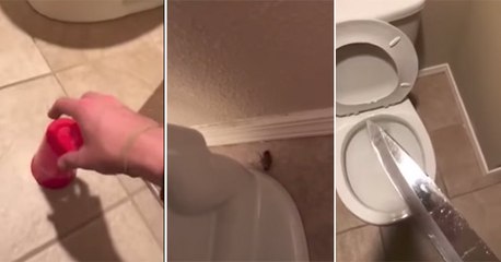 Drunk Guy Has Late Night Battle With Cockroach In Bathroom