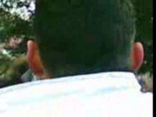 90 baston dans le bois du folereau