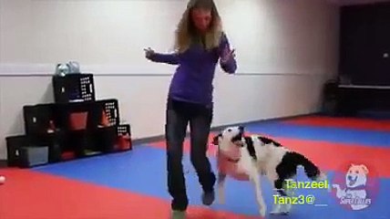 Beautiful girl dancing with her dog on lovely song