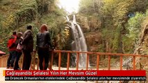 Çağlayandibi Şelalesi Yılın Her Mevsim Güzel