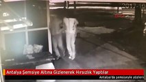 Antalya Şemsiye Altına Gizlenerek Hırsızlık Yaptılar