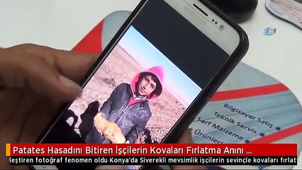 Patates Hasadını Bitiren İşçilerin Kovaları Fırlatma Anını Ölümsüzleştiren Fotoğraf Fenomen Oldu