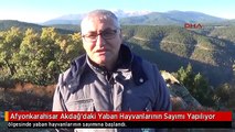 Afyonkarahisar Akdağ'daki Yaban Hayvanlarının Sayımı Yapılıyor