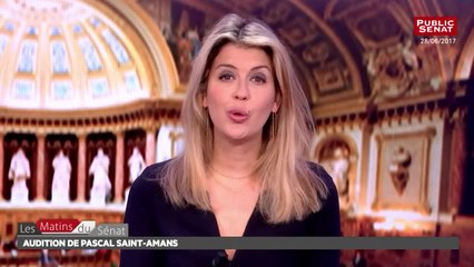 audition du président de l'Arcep  - Les matins du Sénat (07/11/2017)