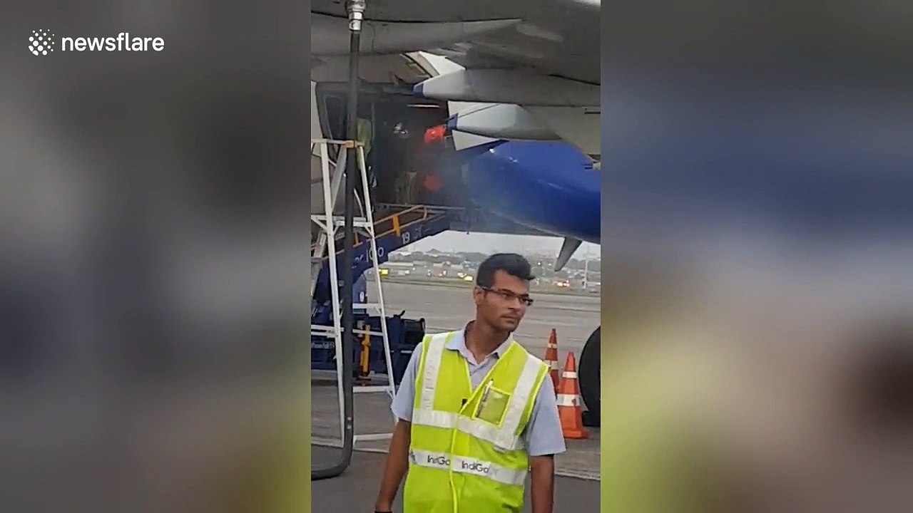 Mumbai airport workers drop bag while unloading aircraft