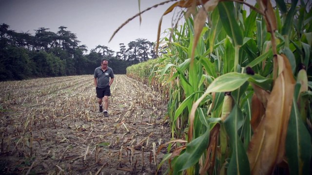 C'est de saison : Les fourrages, premier ingrédient d’un lait de qualité ?